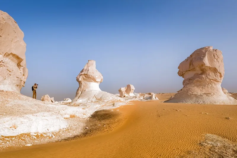 Cairo and Oasis Tour